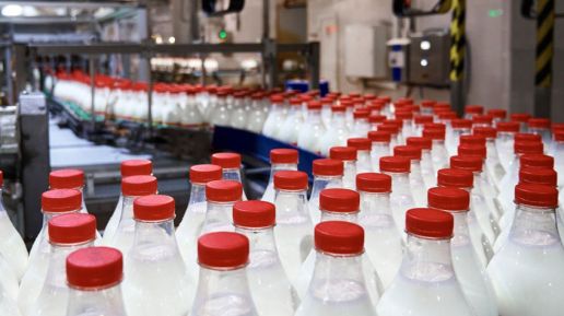 Wielcy będą jeszcze więksi. Tak zmienia się mleczarstwo w Europie