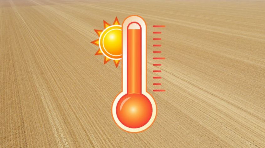 Upały to wyzwanie dla ludzi, rolnictwa i całej gospodarki