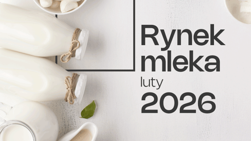 Rynek mleka 2026 – luty