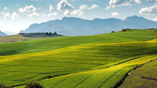 Rolnictwo regeneratywne odpowiedzią na suszę. Jak natura i technologia wspierają gospodarstwa przyszłości?