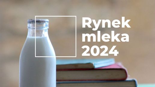 Rynek mleka – październik 2024