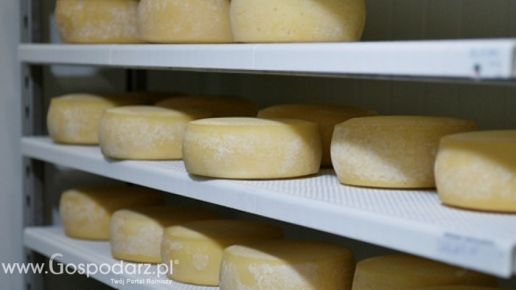 Ceny serów w Polsce (11.05.2025)