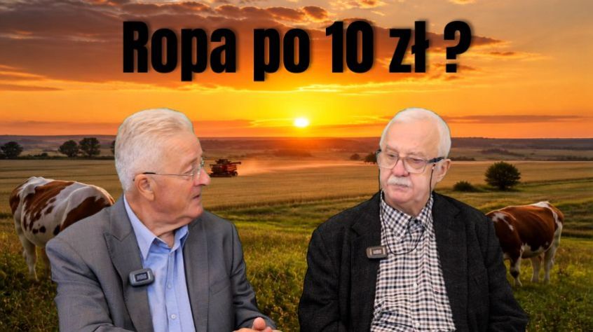 Strach się bać...