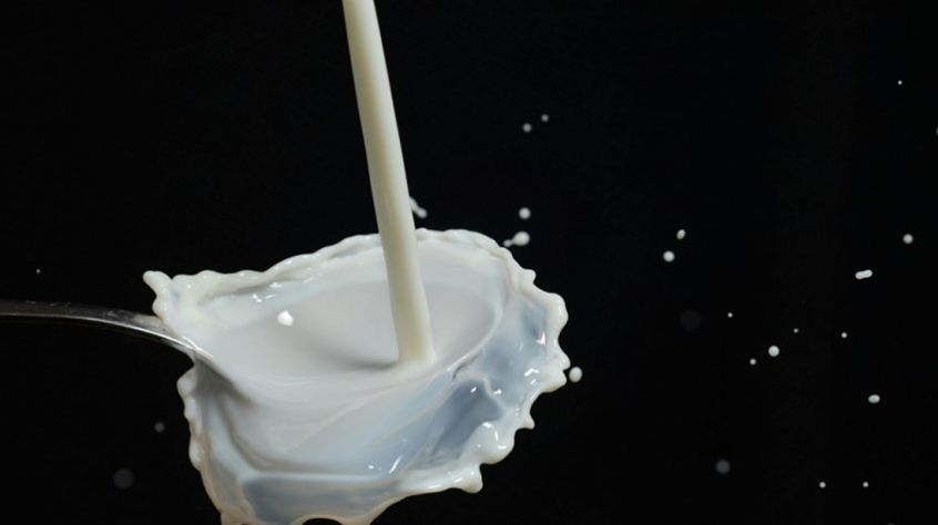 Dalszy spadek cen mleka. Jedno województwo wyraźnie płaci więcej