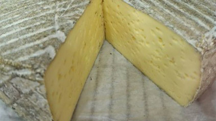 Ceny serów – Gouda, Edamski, Mozzarella (13.09.2026)
