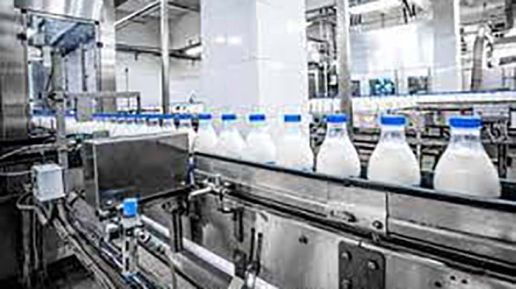 Rynek pracy staje się wyzwaniem dla firm mleczarskich