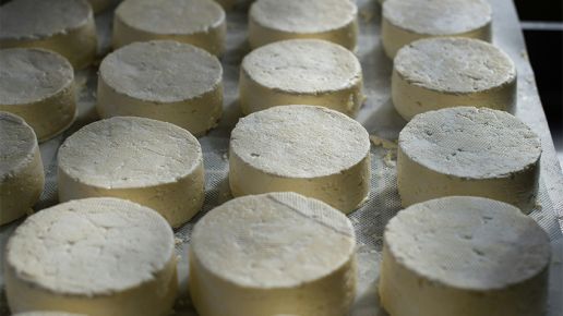 Ceny serów – Gouda, Edamski, Mozzarella (17.05.2026)