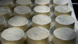 Ceny serów – Gouda, Edamski, Mozzarella (17.05.2026)