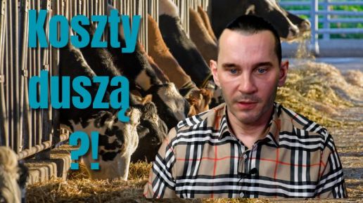 Przełom nastąpi jesienią ?