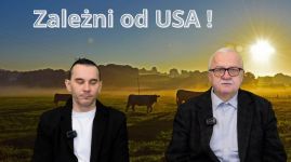 Tylko białko płaci !