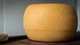 Ceny serów – Gouda, Edamski, Mozzarella (14.06.2026)