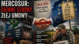 Mercosur : Ciemne strony złej umowy