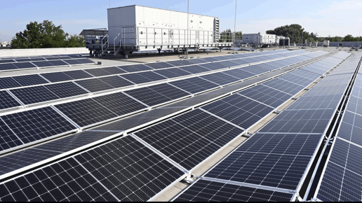 Kaufland inwestuje w zieloną energię – blisko 200 stacji ładowania aut i 40 instalacji fotowoltaicznych do końca 2024 r.