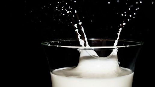 Ceny skupu mleka surowego według GUS w marcu 2024 r.