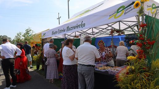 Dożynki powiatu ostrowskiego